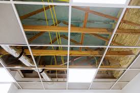faux plafond suspendu, faux plafond staff, faux plafond bois à Seebach